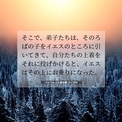 Picture 07 - マルコによる福音書 11:7 JPN - そこで、弟子たちは、そのろばの子 - Bible Verse Picture