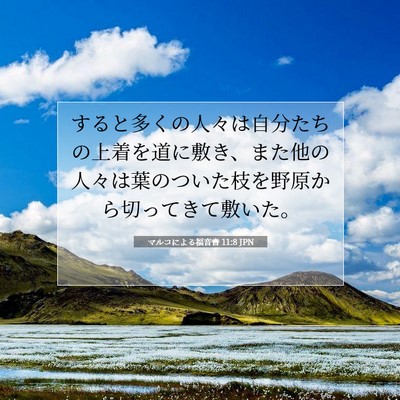 Picture 07 - マルコによる福音書 11:8 JPN - すると多くの人々は自分たちの上着 - Bible Verse Picture