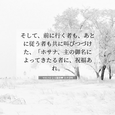 Picture 07 - マルコによる福音書 11:9 JPN - そして、前に行く者も、あとに従う - Bible Verse Picture