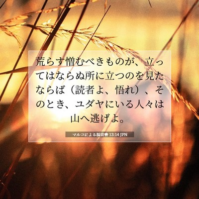 Picture 07 - マルコによる福音書 13:14 JPN - 荒らす憎むべきものが、立ってはな - Bible Verse Picture