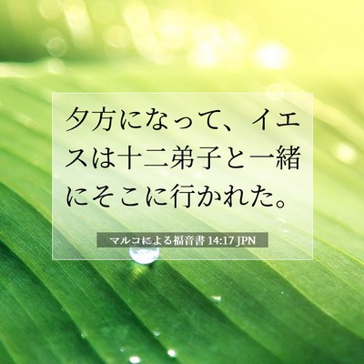 Picture 07 - マルコによる福音書 14:17 JPN - 夕方になって、イエスは十二弟子と - Bible Verse Picture
