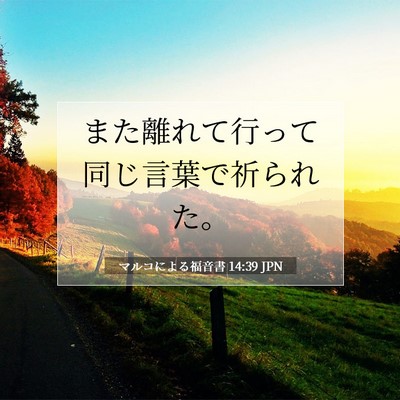 Picture 07 - マルコによる福音書 14:39 JPN - また離れて行って同じ言葉で祈られ - Bible Verse Picture