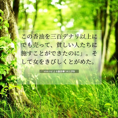 Picture 07 - マルコによる福音書 14:5 JPN - この香油を三百デナリ以上にでも売 - Bible Verse Picture