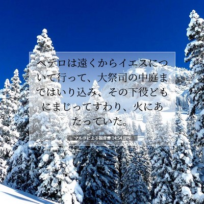 Picture 07 - マルコによる福音書 14:54 JPN - ペテロは遠くからイエスについて行 - Bible Verse Picture