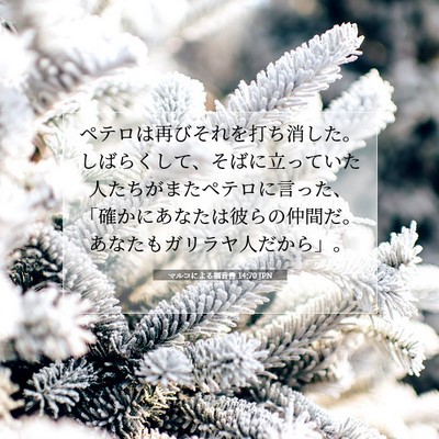 Picture 07 - マルコによる福音書 14:70 JPN - ペテロは再びそれを打ち消した。し - Bible Verse Picture
