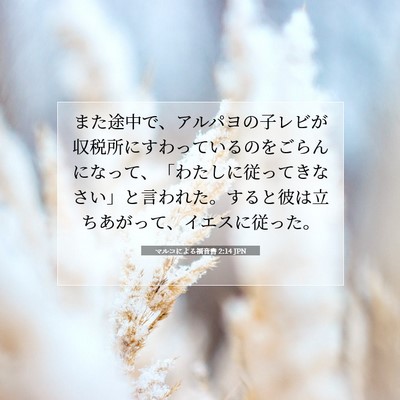 Picture 07 - マルコによる福音書 2:14 JPN - また途中で、アルパヨの子レビが収 - Bible Verse Picture