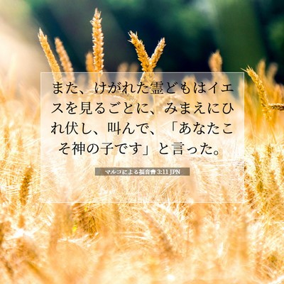 Picture 07 - マルコによる福音書 3:11 JPN - また、けがれた霊どもはイエスを見 - Bible Verse Picture