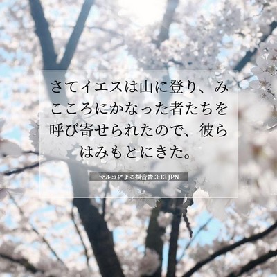 Picture 07 - マルコによる福音書 3:13 JPN - さてイエスは山に登り、みこころに - Bible Verse Picture