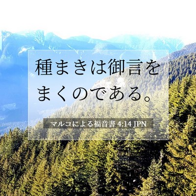 Picture 07 - マルコによる福音書 4:14 JPN - 種まきは御言をまくのである。 - Bible Verse Picture