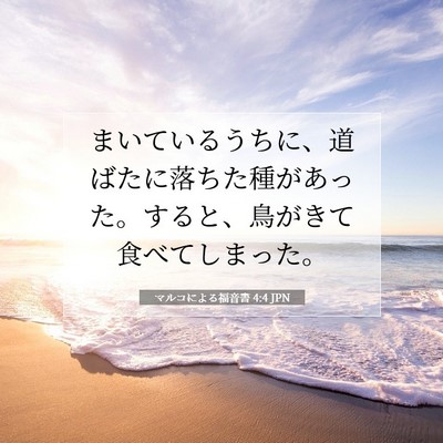 Picture 07 - マルコによる福音書 4:4 JPN - まいているうちに、道ばたに落ちた - Bible Verse Picture