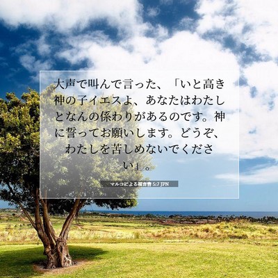 Picture 07 - マルコによる福音書 5:7 JPN - 大声で叫んで言った、「いと高き神 - Bible Verse Picture
