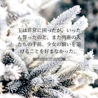 Picture 07 - マルコによる福音書 6:26 JPN - 王は非常に困ったが、いったん誓っ - Bible Verse Picture