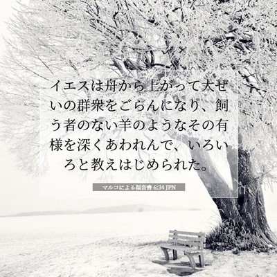 Picture 07 - マルコによる福音書 6:34 JPN - イエスは舟から上がって大ぜいの群 - Bible Verse Picture