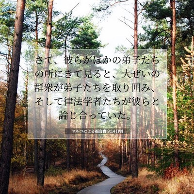 Picture 07 - マルコによる福音書 9:14 JPN - さて、彼らがほかの弟子たちの所に - Bible Verse Picture