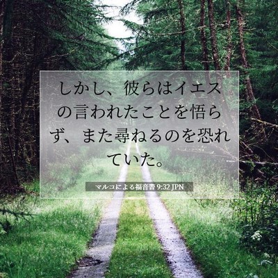 Picture 07 - マルコによる福音書 9:32 JPN - しかし、彼らはイエスの言われたこ - Bible Verse Picture