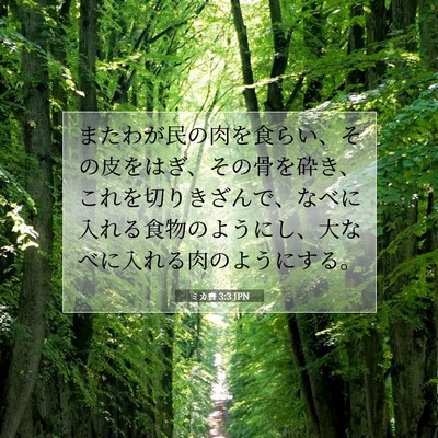 Picture 07 - ミカ書 3:3 JPN - またわが民の肉を食らい、その皮を - Bible Verse Picture