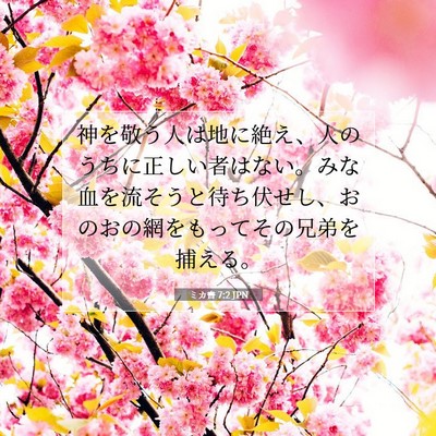 Picture 07 - ミカ書 7:2 JPN - 神を敬う人は地に絶え、人のうちに - Bible Verse Picture