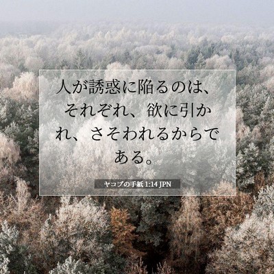 Picture 07 - ヤコブの手紙 1:14 JPN - 人が誘惑に陥るのは、それぞれ、欲 - Bible Verse Picture
