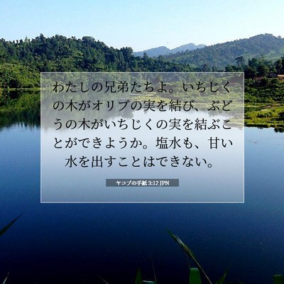 Picture 07 - ヤコブの手紙 3:12 JPN - わたしの兄弟たちよ。いちじくの木 - Bible Verse Picture