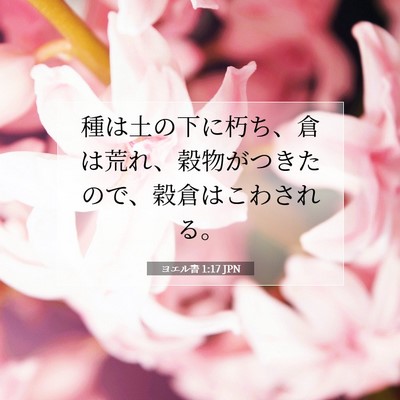 Picture 07 - ヨエル書 1:17 JPN - 種は土の下に朽ち、倉は荒れ、穀物 - Bible Verse Picture