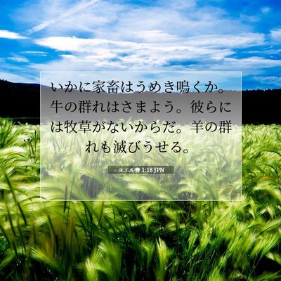 Picture 07 - ヨエル書 1:18 JPN - いかに家畜はうめき鳴くか。牛の群 - Bible Verse Picture