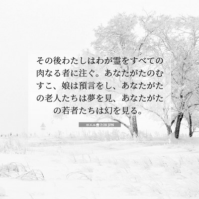 Picture 07 - ヨエル書 2:28 JPN - その後わたしはわが霊をすべての肉 - Bible Verse Picture
