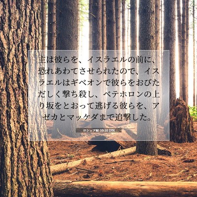 Picture 07 - ヨシュア記 10:10 JPN - 主は彼らを、イスラエルの前に、恐 - Bible Verse Picture