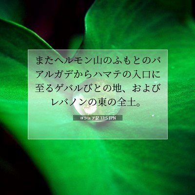 Picture 07 - ヨシュア記 13:5 JPN - またヘルモン山のふもとのバアルガ - Bible Verse Picture