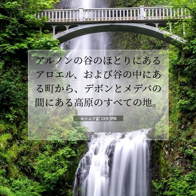 Picture 07 - ヨシュア記 13:9 JPN - アルノンの谷のほとりにあるアロエ - Bible Verse Picture