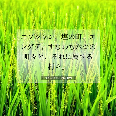 Picture 07 - ヨシュア記 15:62 JPN - ニブシャン、塩の町、エンゲデ。す - Bible Verse Picture