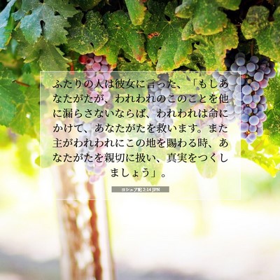 Picture 07 - ヨシュア記 2:14 JPN - ふたりの人は彼女に言った、「もし - Bible Verse Picture