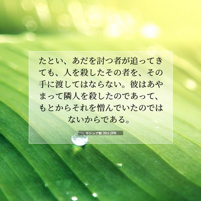 Picture 07 - ヨシュア記 20:5 JPN - たとい、あだを討つ者が追ってきて - Bible Verse Picture