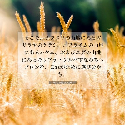 Picture 07 - ヨシュア記 20:7 JPN - そこで、ナフタリの山地にあるガリ - Bible Verse Picture