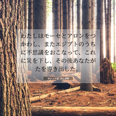 Picture 07 - ヨシュア記 24:5 JPN - わたしはモーセとアロンをつかわし - Bible Verse Picture