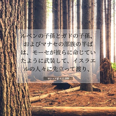Picture 07 - ヨシュア記 4:12 JPN - ルベンの子孫とガドの子孫、および - Bible Verse Picture