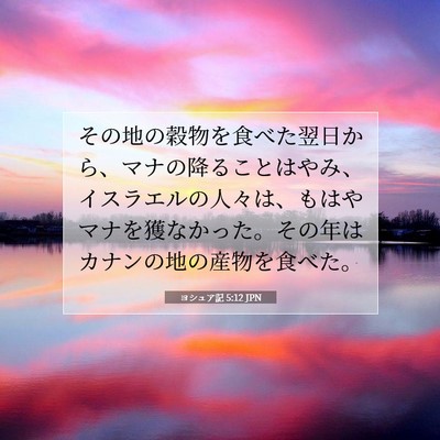 Picture 07 - ヨシュア記 5:12 JPN - その地の穀物を食べた翌日から、マ - Bible Verse Picture