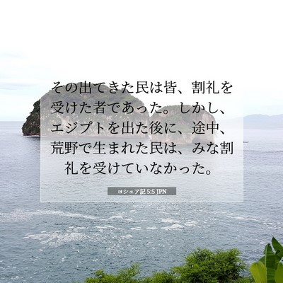 Picture 07 - ヨシュア記 5:5 JPN - その出てきた民は皆、割礼を受けた - Bible Verse Picture