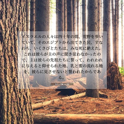 Picture 07 - ヨシュア記 5:6 JPN - イスラエルの人々は四十年の間、荒 - Bible Verse Picture