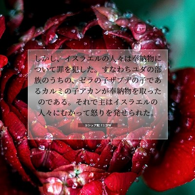 Picture 07 - ヨシュア記 7:1 JPN - しかし、イスラエルの人々は奉納物 - Bible Verse Picture