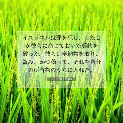 Picture 07 - ヨシュア記 7:11 JPN - イスラエルは罪を犯し、わたしが彼 - Bible Verse Picture