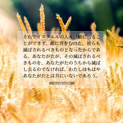 Picture 07 - ヨシュア記 7:12 JPN - それでイスラエルの人々は敵に当る - Bible Verse Picture