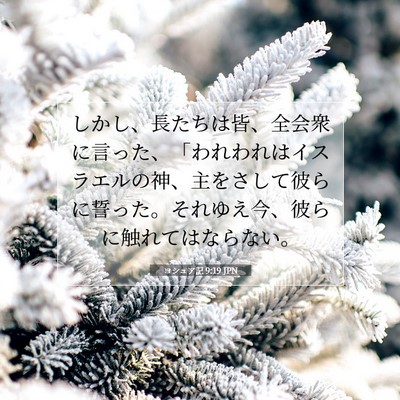 Picture 07 - ヨシュア記 9:19 JPN - しかし、長たちは皆、全会衆に言っ - Bible Verse Picture
