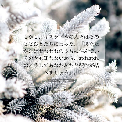 Picture 07 - ヨシュア記 9:7 JPN - しかし、イスラエルの人々はそのヒ - Bible Verse Picture