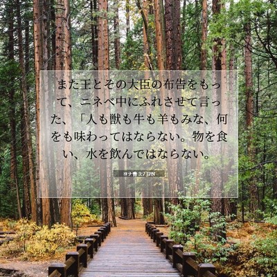 Picture 07 - ヨナ書 3:7 JPN - また王とその大臣の布告をもって、 - Bible Verse Picture
