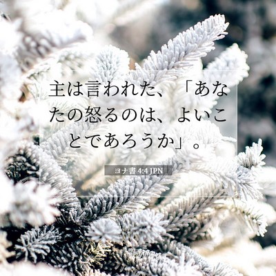 Picture 07 - ヨナ書 4:4 JPN - 主は言われた、「あなたの怒るのは - Bible Verse Picture