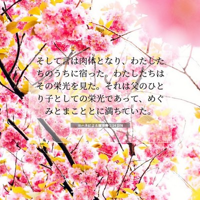 Picture 07 - ヨハネによる福音書 1:14 JPN - そして言は肉体となり、わたしたち - Bible Verse Picture
