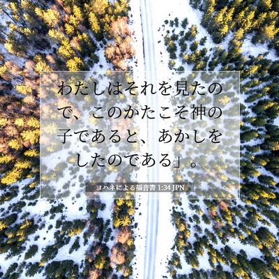 Picture 07 - ヨハネによる福音書 1:34 JPN - わたしはそれを見たので、このかた - Bible Verse Picture