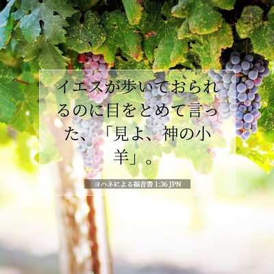 Picture 07 - ヨハネによる福音書 1:36 JPN - イエスが歩いておられるのに目をと - Bible Verse Picture