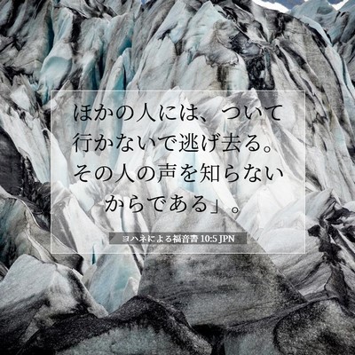 Picture 07 - ヨハネによる福音書 10:5 JPN - ほかの人には、ついて行かないで逃 - Bible Verse Picture