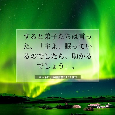Picture 07 - ヨハネによる福音書 11:12 JPN - すると弟子たちは言った、「主よ、 - Bible Verse Picture